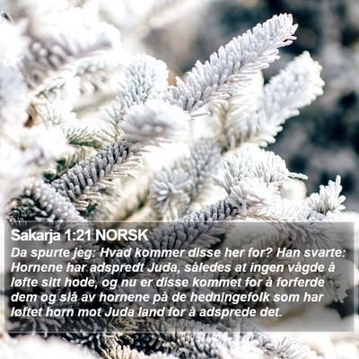 Sakarja 1:21 NORSK Bible Verse Image
