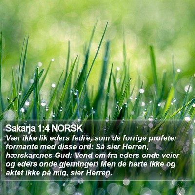 Sakarja 1:4 NORSK Bible Verse Image