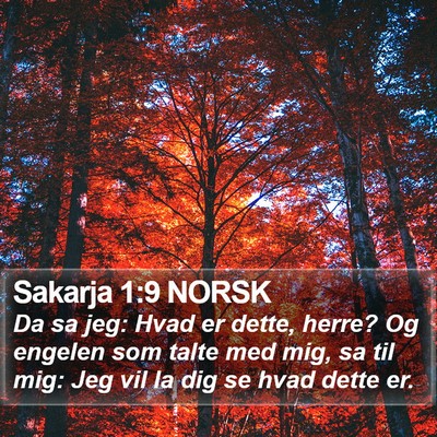 Sakarja 1:9 NORSK Bible Verse Image