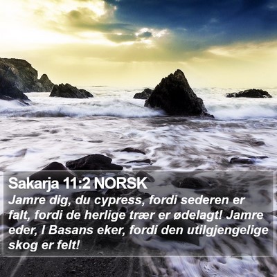 Sakarja 11:2 NORSK Bible Verse Image