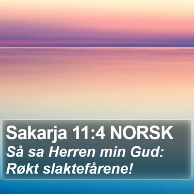 Sakarja 11:4 NORSK Bible Verse Image