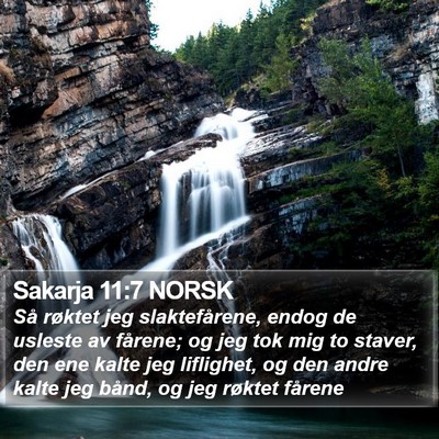 Sakarja 11:7 NORSK Bible Verse Image