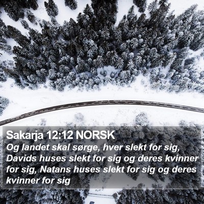 Sakarja 12:12 NORSK Bible Verse Image