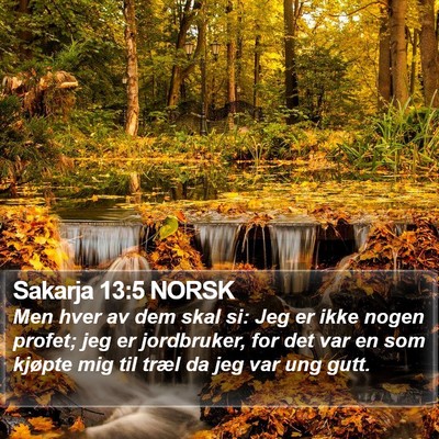 Sakarja 13:5 NORSK Bible Verse Image
