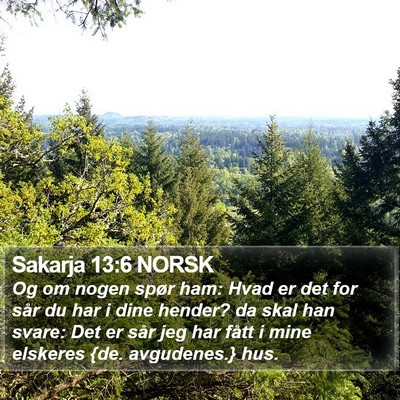 Sakarja 13:6 NORSK Bible Verse Image