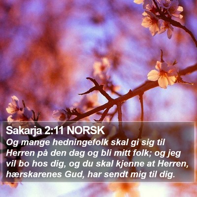 Sakarja 2:11 NORSK Bible Verse Image