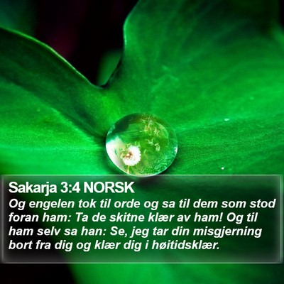 Sakarja 3:4 NORSK Bible Verse Image