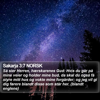 Sakarja 3:7 NORSK Bible Verse Image