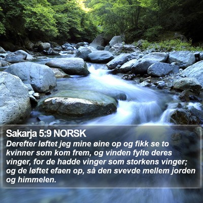 Sakarja 5:9 NORSK Bible Verse Image