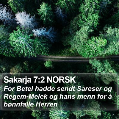 Sakarja 7:2 NORSK Bible Verse Image