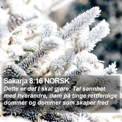 Sakarja 8:16 NORSK Bible Verse Image