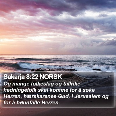 Sakarja 8:22 NORSK Bible Verse Image
