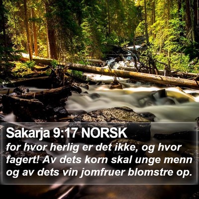 Sakarja 9:17 NORSK Bible Verse Image