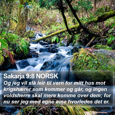 Sakarja 9:8 NORSK Bible Verse Image