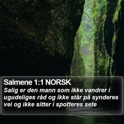Salmene 1:1 NORSK Bible Verse Image
