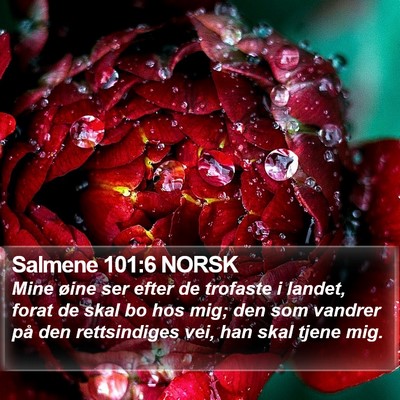 Salmene 101:6 NORSK Bible Verse Image