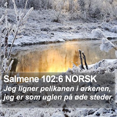 Salmene 102:6 NORSK Bible Verse Image