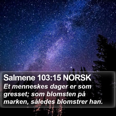 Salmene 103:15 NORSK Bible Verse Image