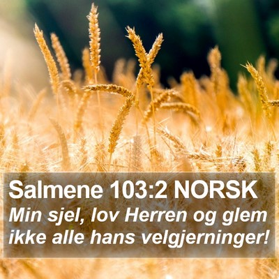 Salmene 103:2 NORSK Bible Verse Image