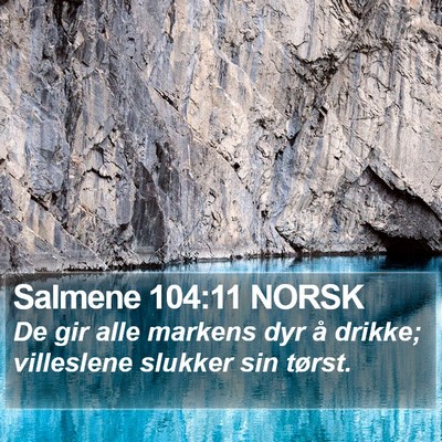 Salmene 104:11 NORSK Bible Verse Image