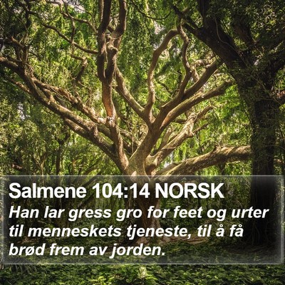 Salmene 104:14 NORSK Bible Verse Image