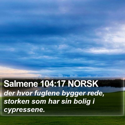 Salmene 104:17 NORSK Bible Verse Image