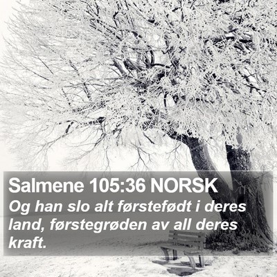 Salmene 105:36 NORSK Bible Verse Image