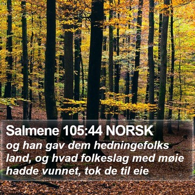 Salmene 105:44 NORSK Bible Verse Image