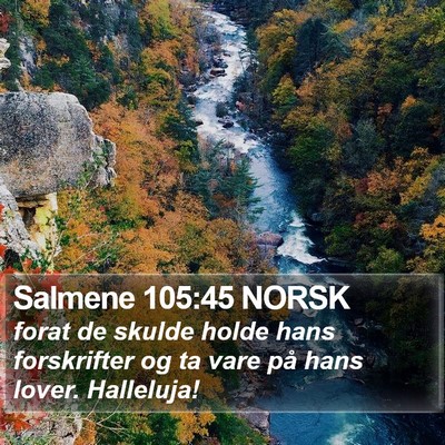 Salmene 105:45 NORSK Bible Verse Image