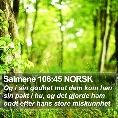 Salmene 106:45 NORSK Bible Verse Image