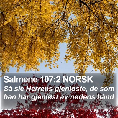 Salmene 107:2 NORSK Bible Verse Image