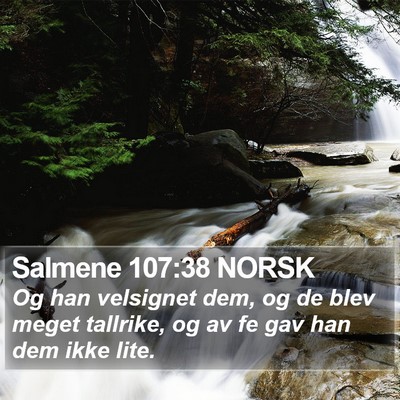 Salmene 107:38 NORSK Bible Verse Image