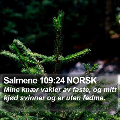 Salmene 109:24 NORSK Bible Verse Image