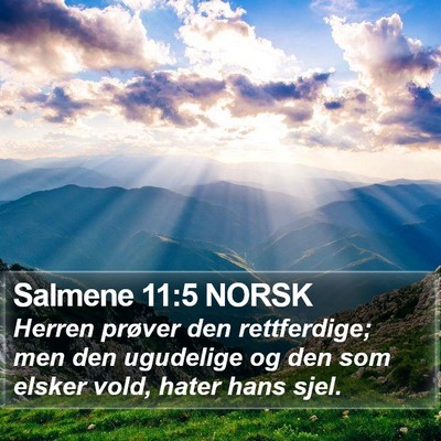 Salmene 11:5 NORSK Bible Verse Image