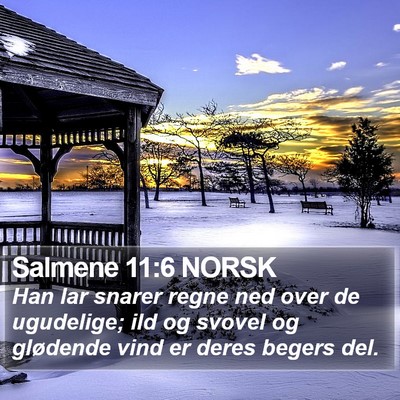Salmene 11:6 NORSK Bible Verse Image