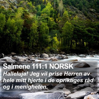 Salmene 111:1 NORSK Bible Verse Image