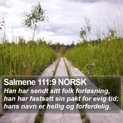 Salmene 111:9 NORSK Bible Verse Image