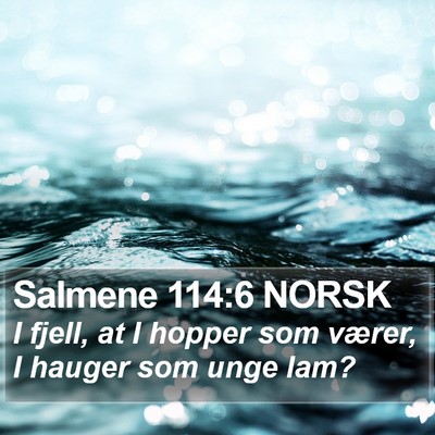 Salmene 114:6 NORSK Bible Verse Image