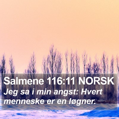 Salmene 116:11 NORSK Bible Verse Image