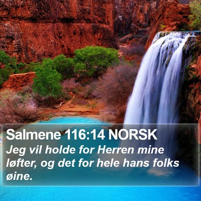 Salmene 116:14 NORSK Bible Verse Image