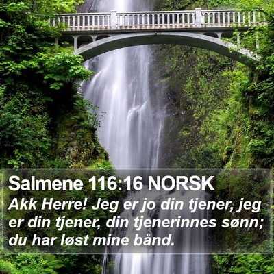Salmene 116:16 NORSK Bible Verse Image