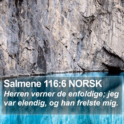 Salmene 116:6 NORSK Bible Verse Image