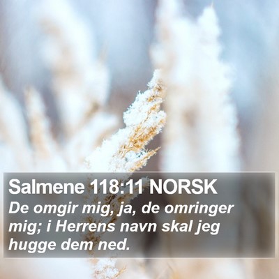 Salmene 118:11 NORSK Bible Verse Image