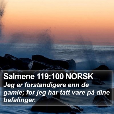 Salmene 119:100 NORSK Bible Verse Image