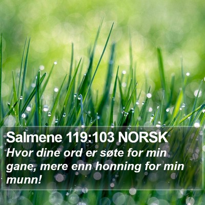 Salmene 119:103 NORSK Bible Verse Image