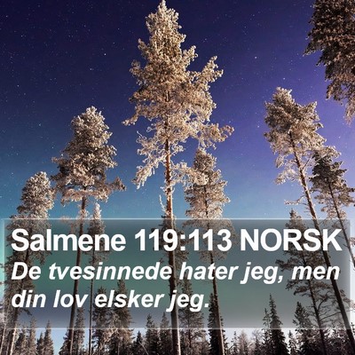 Salmene 119:113 NORSK Bible Verse Image