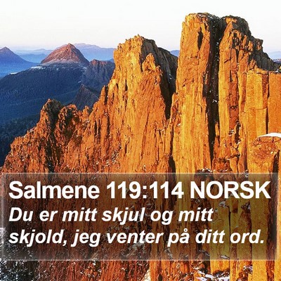 Salmene 119:114 NORSK Bible Verse Image
