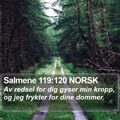 Salmene 119:120 NORSK Bible Verse Image