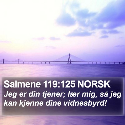 Salmene 119:125 NORSK Bible Verse Image