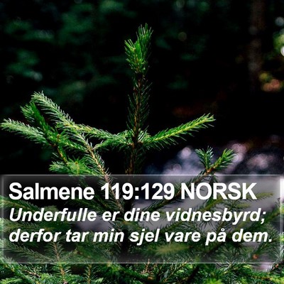 Salmene 119:129 NORSK Bible Verse Image